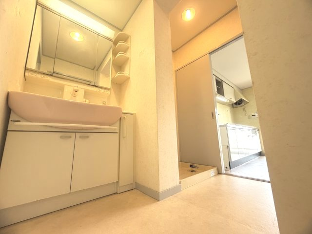 研究学園（5）団地526号棟の独立洗面台