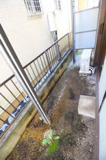 簡単な家庭菜園も楽しめるお庭です