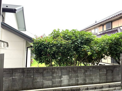 【展望】 | サンモールⅡ
