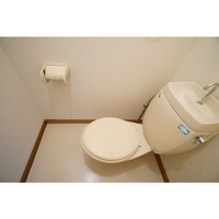 落ち着いた色調のトイレです
