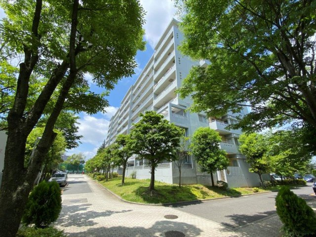 の-の画像