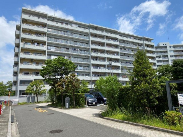 の-の画像