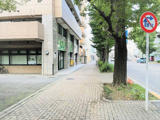 藤和シティホームズ西八王子の現況写真|～街路樹のイチョウが四季折々の景観を楽しませてくれます～