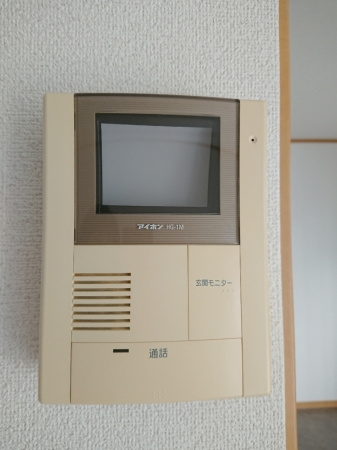 ヴェルドミールのセキュリティ