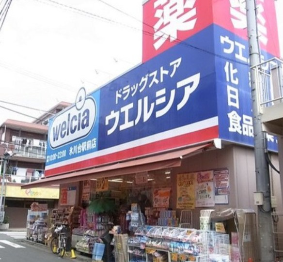 EWレジデンス氷川台の周辺