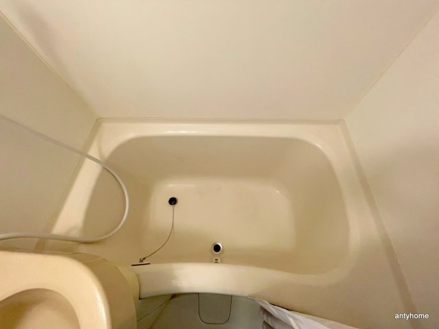 サラダボウル　仲介手数料無料の浴室