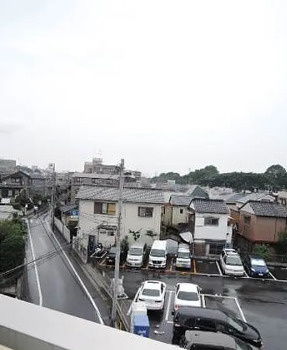コリーヌ タツミの展望