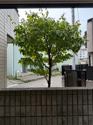 アルページュの展望|★バルコニーからの眺望★