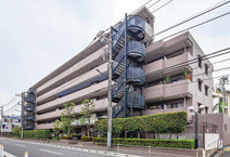 アドリーム蓮根