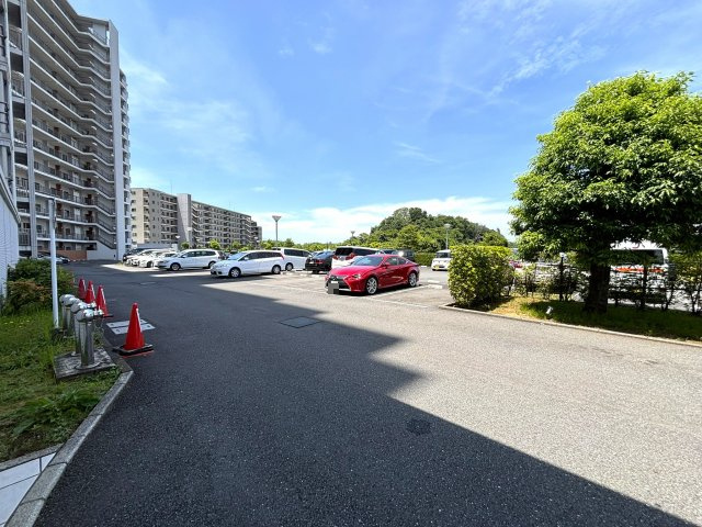 の-の画像