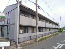 ハピネスの画像