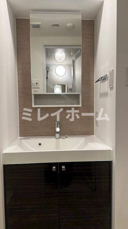 ZOOM下丸子の洗面所