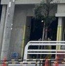 グランカーサ住吉Ⅱのエントランス