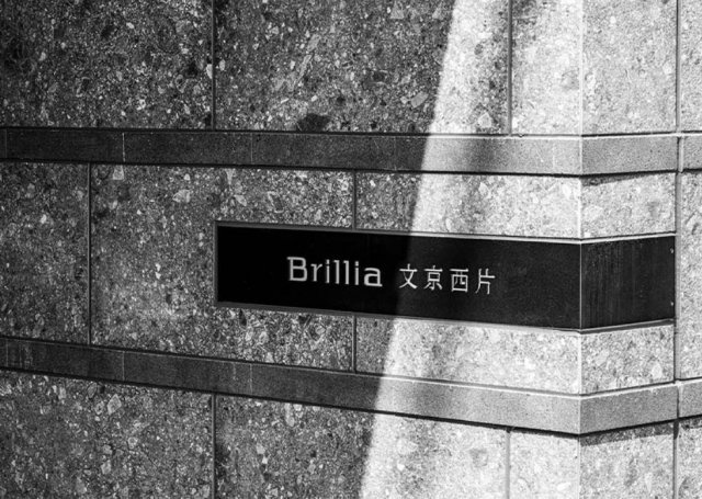Brillia文京西片のその他
