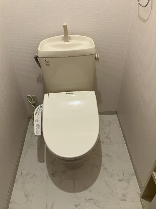 グリーンパーク大善寺Ⅱ　A棟のトイレ