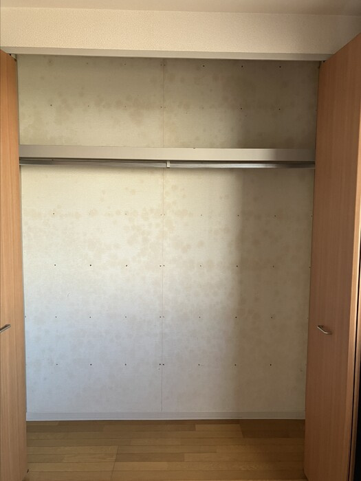 グリーンパーク大善寺Ⅱ　A棟の収納