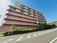 ダイアパレスつづきの丘の画像