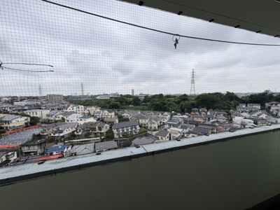 【展望】 | 東横白楽マンション