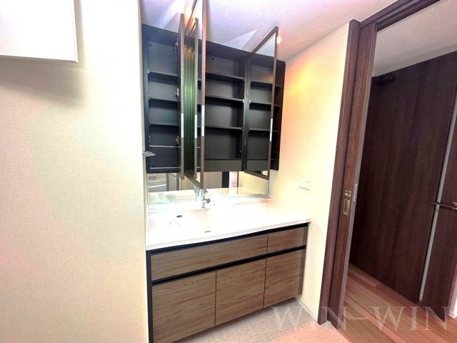 プラウドタワー豊橋の独立洗面台|イメージ（同建物内別部屋の写真です）