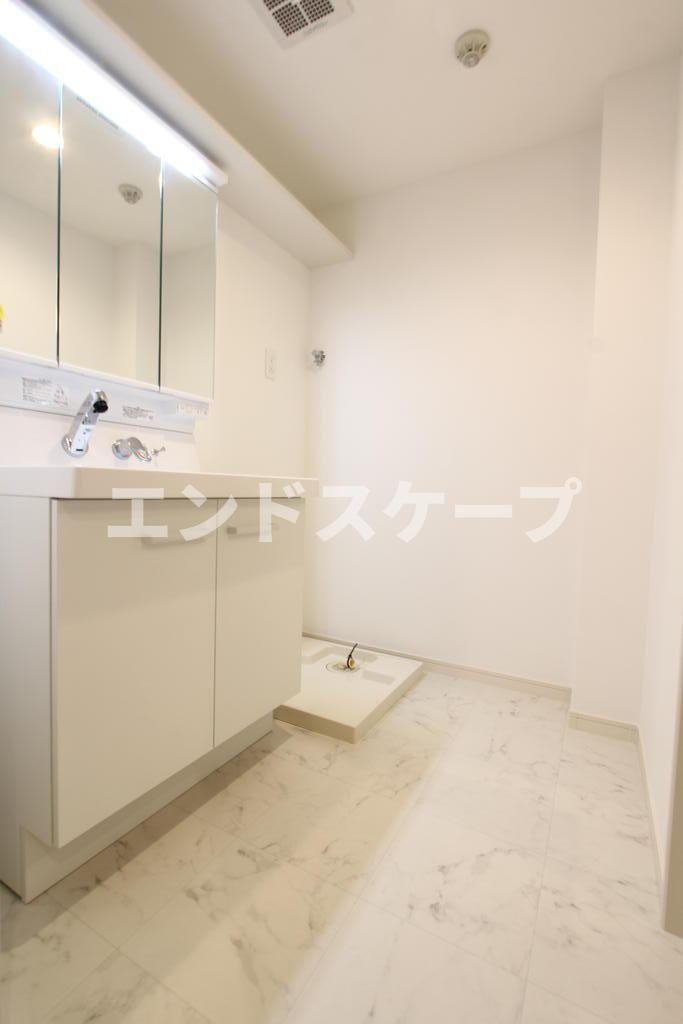アネシスの洗面所|高崎、前橋エリアのお部屋探しはエンドスケープまで！お客様の理想お聞かせ下さい♪