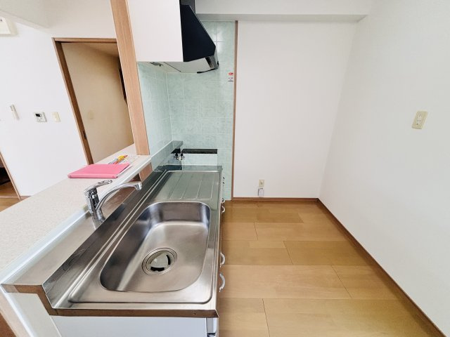 パルビューラーデュオのその他