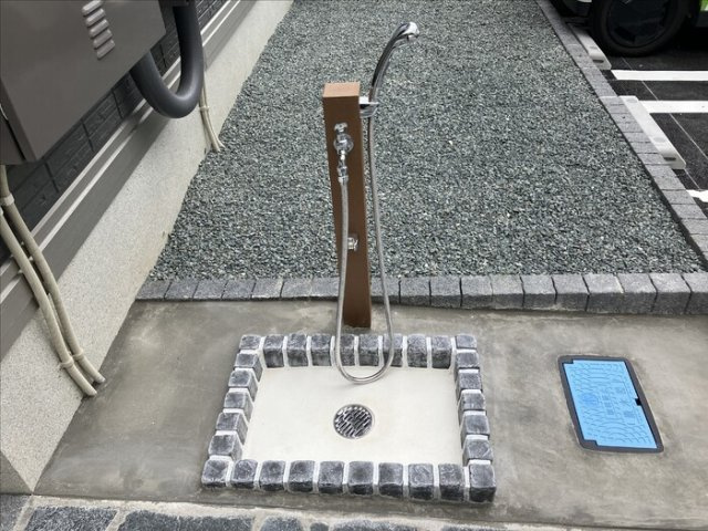 セレブ菊池