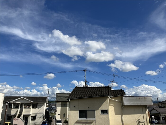 セレブ菊池の展望