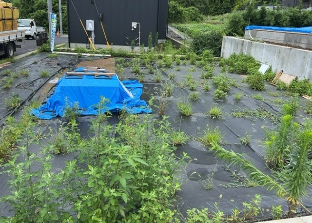 【玄関】 | 玄関は家の顔でもあり、家族以外の目にも止まる場所です。玄関は外との間を仕切る扉、靴などをしまっておく収納スペース、靴脱ぎのたたきスペース、来客とのやり取りをするドアホンなど複数のアイテムからなります。