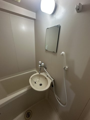 ステップVIIIの洗面所