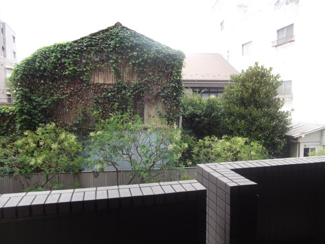 ルーブル武蔵小杉弐番館の展望
