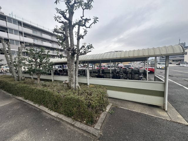 ステップVIIIの展望