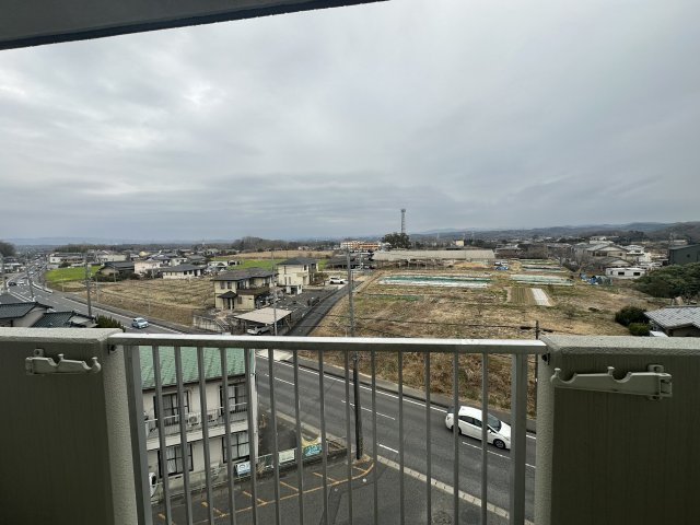 ステップVIIIの展望