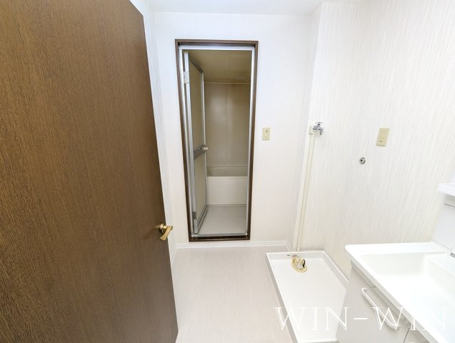 WEST COURT N棟の洗面所