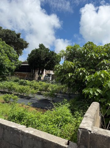 松原63坪（袋地）の周辺