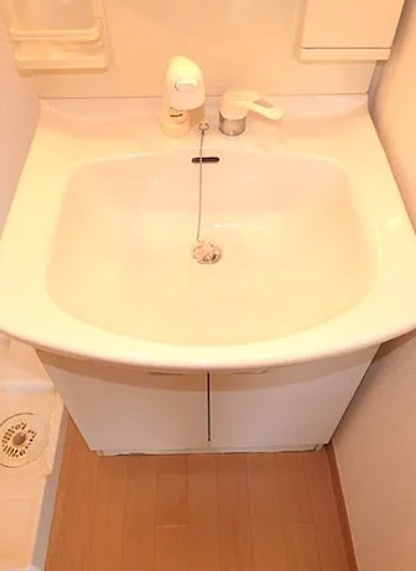 フラッツ　みはしの洗面所