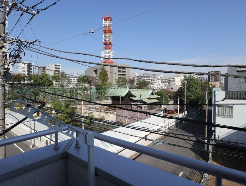 ルピナス清川の展望