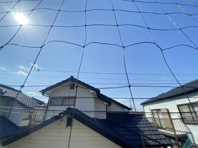 ルミエール一吉IIの展望