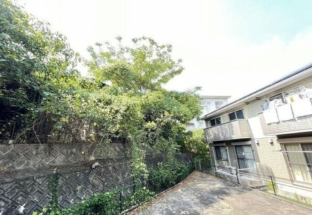 オリーヴァ上津B棟の展望