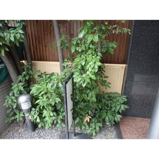 【エントランス】 | OHD今池