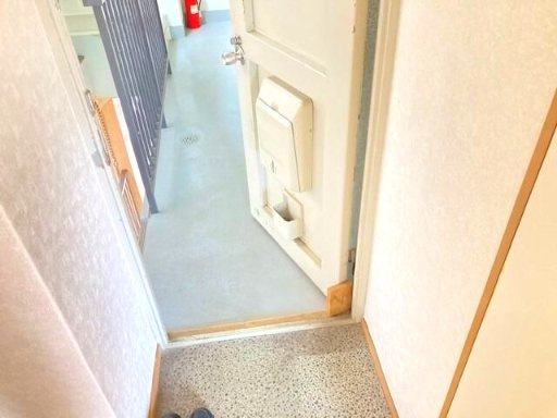 北区志茂３丁目の賃貸マンションの玄関