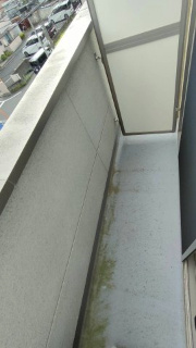 ＤＳコート白糸台のバルコニー