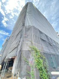 Auroroの画像