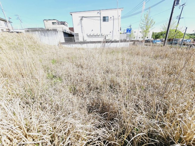 加東市南山土地②の外観|■土地576.13㎡／約174.27坪■現況更地＆整形地■南西南東角地