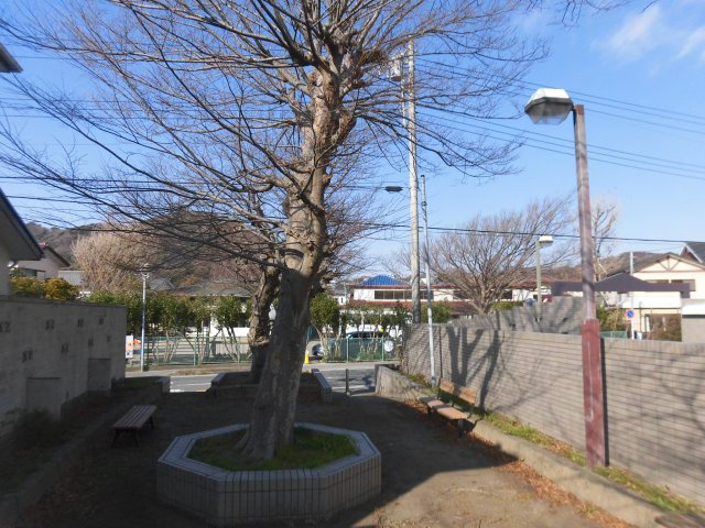 「葉山センチュリーマンション」1階　専用庭の周辺|周辺