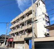 エクセレントサカキの画像
