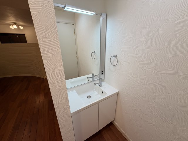 下穂積戸建て貸家の洗面所