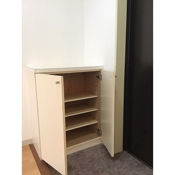 今川マンションの玄関