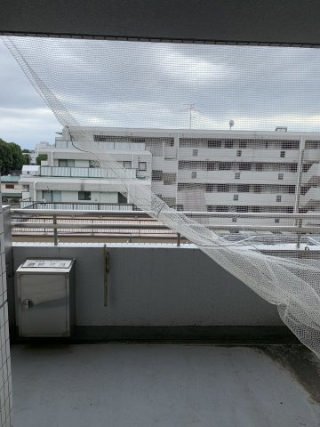 マルメゾン