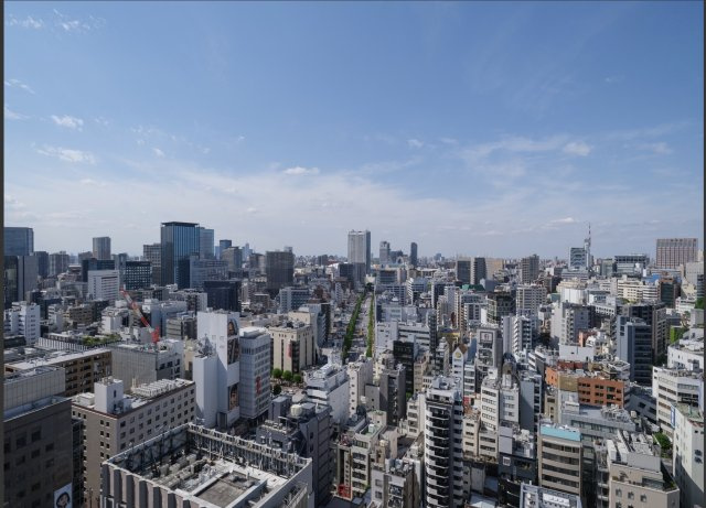 ★仲介手数料無料★東京パークタワー（新規フルリフォーム済み）の展望