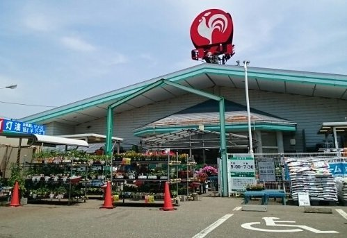 ポラリスⅠの周辺|コメリハード＆グリーン小池店まで750m